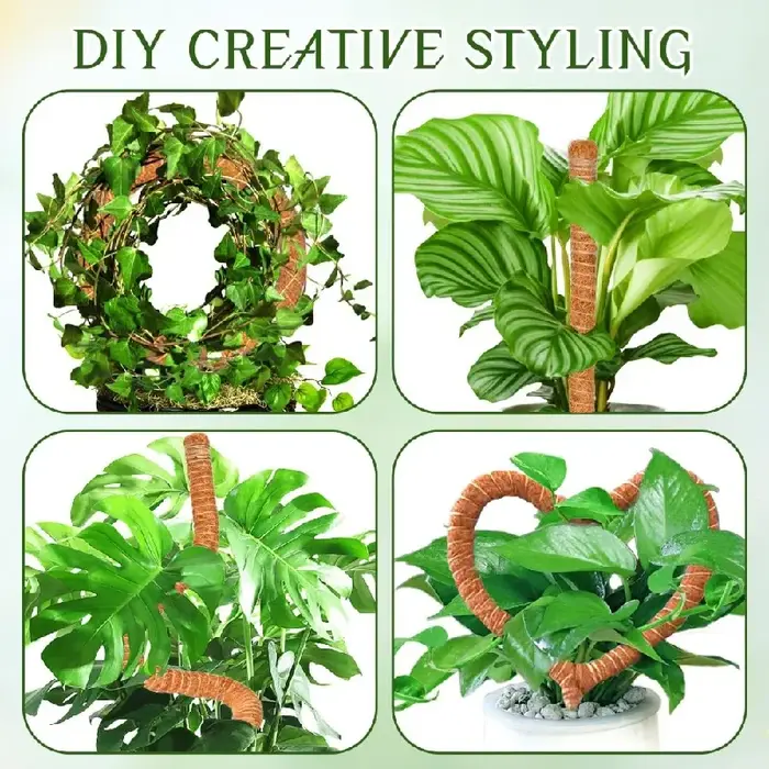 Support de grimpement pliable en mousse de coco de 30-100 cm pour plantes grimpantes d'intérieur