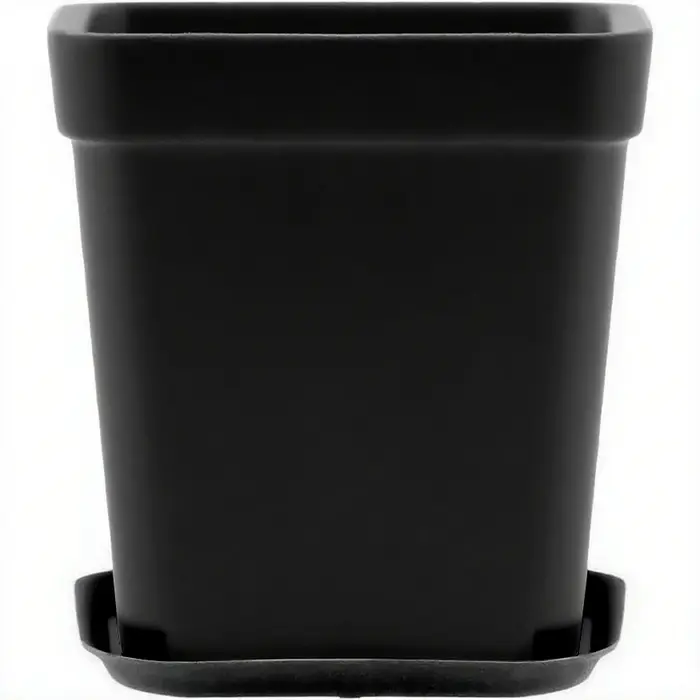 Pots de plantes à fleurs carrés noirs de 7cm