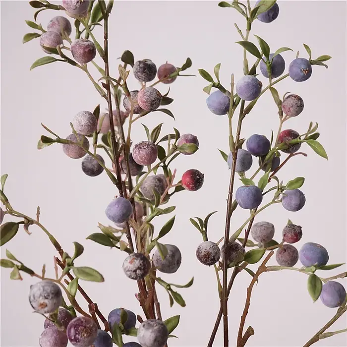 Ornements de fruits de jardinage