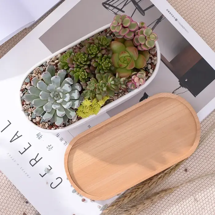 Pot de jardinière succulente blanche en céramique de forme ovale avec plateau en bambou