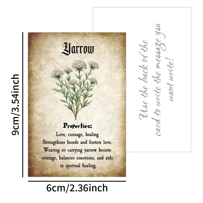 Cartes à base de plantes avec Illustrations botaniques