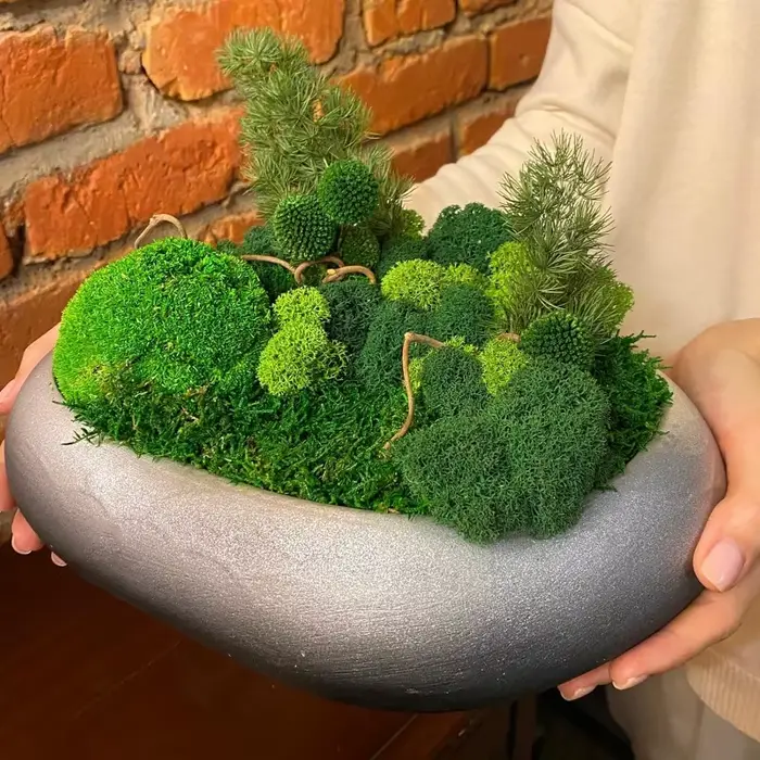 Plantes vertes artificielles