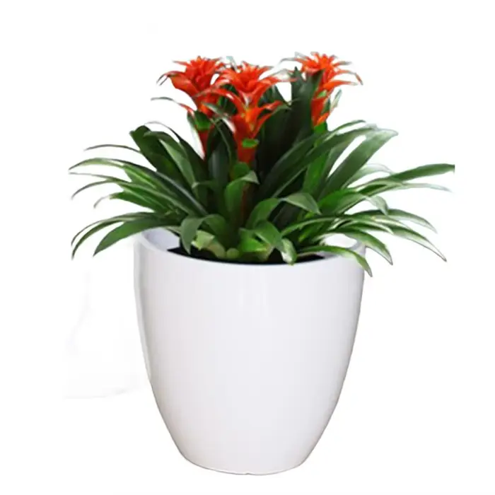 Ensemble de pots de fleurs