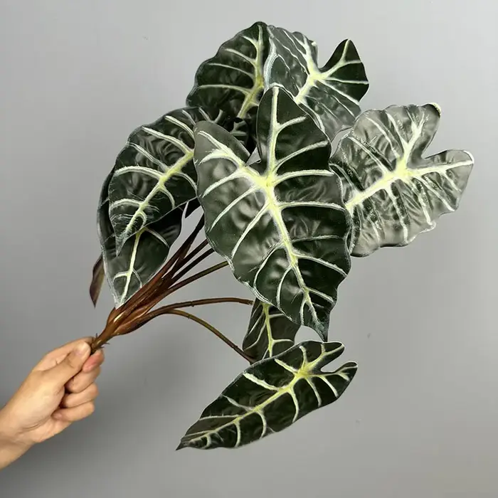 Lot de 5 plantes artificielles en plastique, feuilles de taro, bouquet de 10 têtes, décoration d'hôt