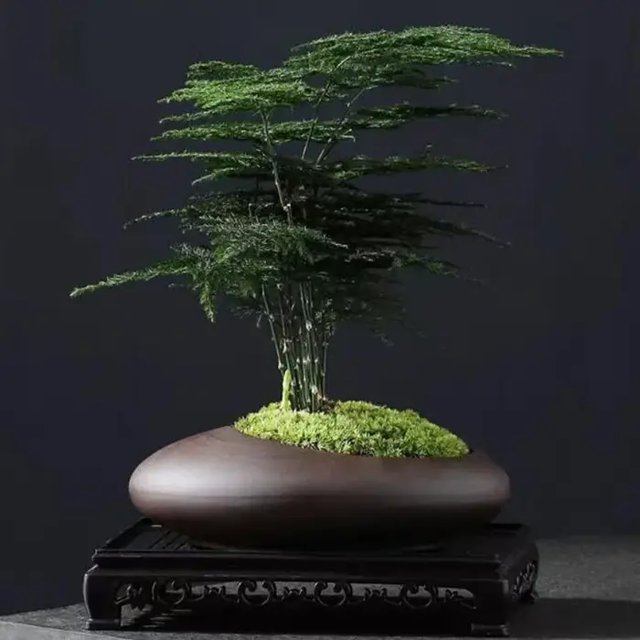Pot de plantes en argile violette rétro