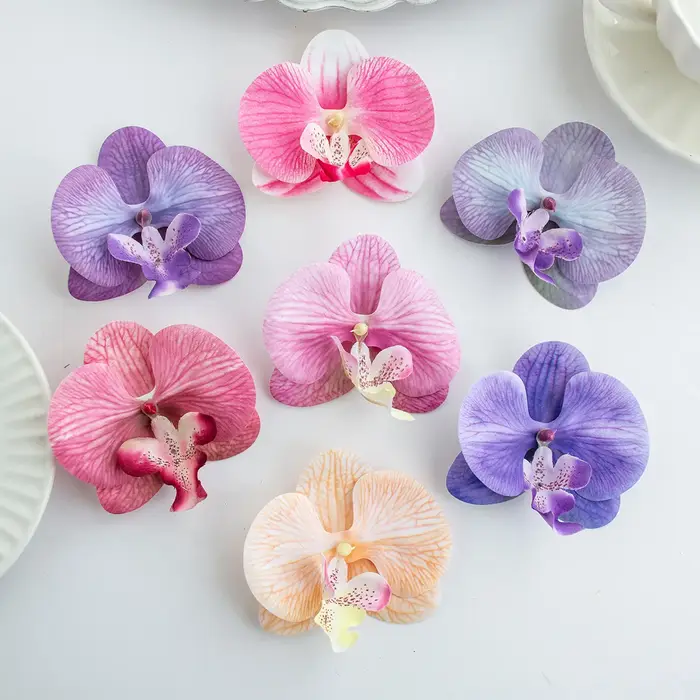 Orchidée papillon thaïlandaise