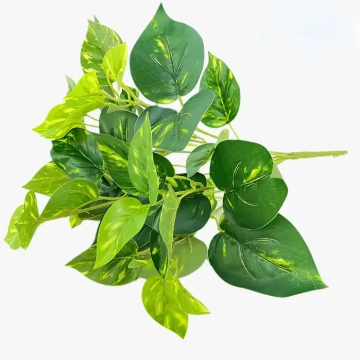 Plante de Simulation d'aloès vert