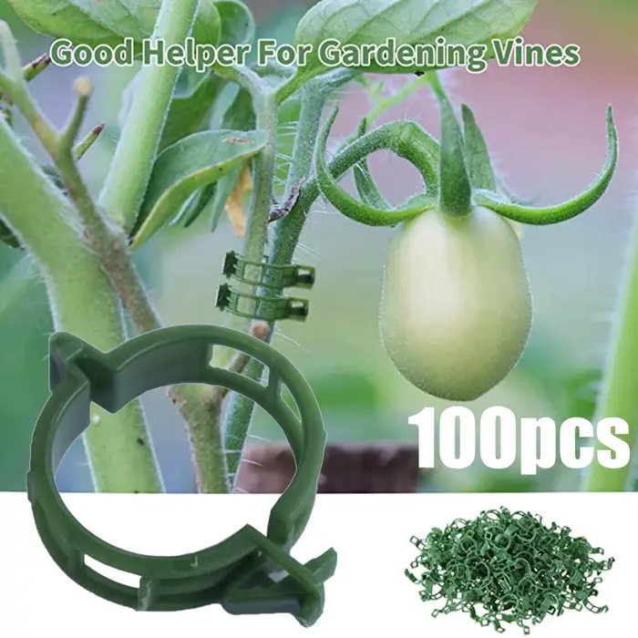 Clips de Support pour plantes