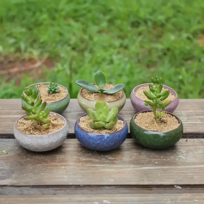 Pot de fleur en céramique