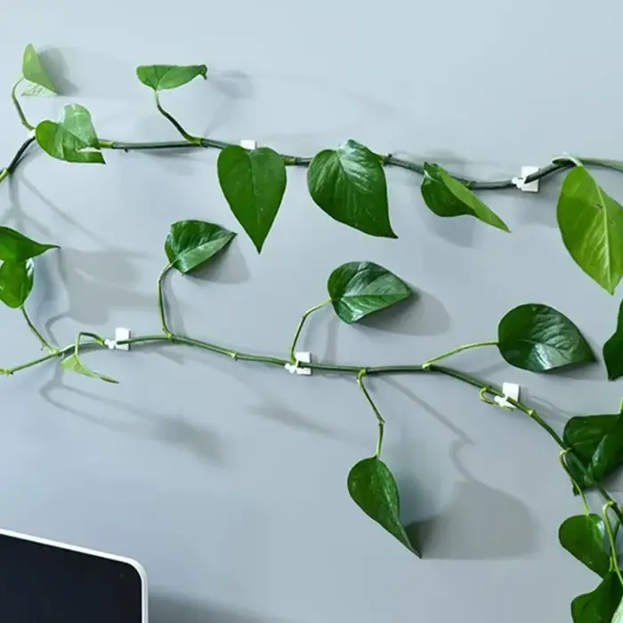 20/40/60 Pièces Crochets universels de fixation murale pour plantes vertes