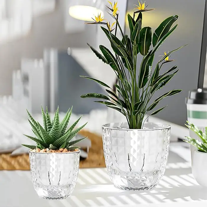Vase à plantes hydroponiques avec corde en coton