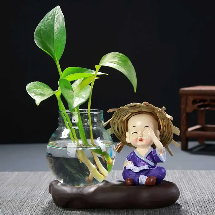 Vase en verre belle plante transparente Terrarium