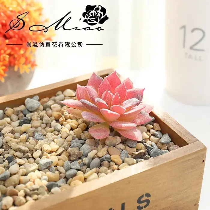 Plantes succulentes artificielles, bricolage pour jardin, Table de bureau, fête, chambre à coucher,