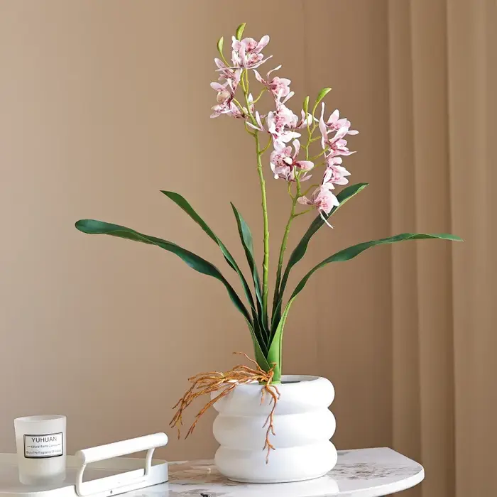 Orchidée papillon au toucher de la main avec feuilles