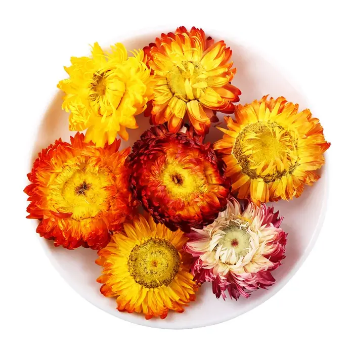 Fleurs sèches naturelles de qualité supérieure (camomille