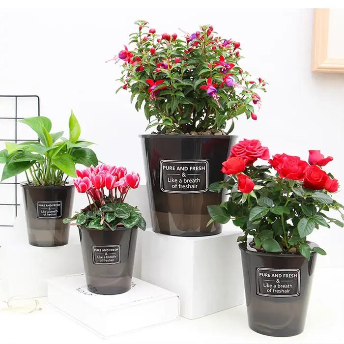 Pot de fleur à absorption d'eau automatique
