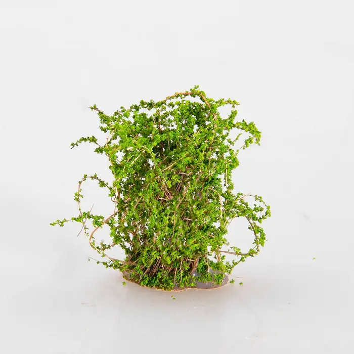 Plantes artificielles miniatures