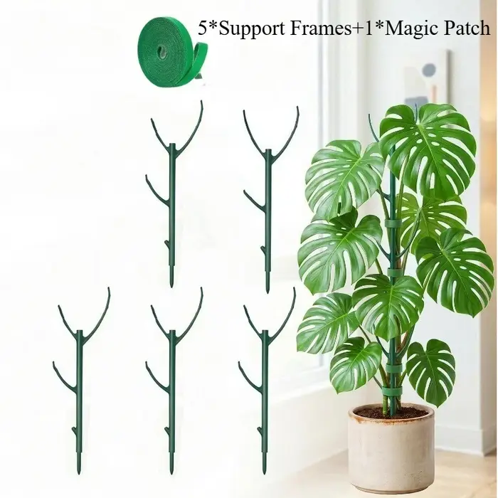 Supports pour plantes Monstera, 5 cadres de support et 1 rouleau de velcro, piquets de jardin conçus spécifiquement pour les tiges de plantes grimpantes