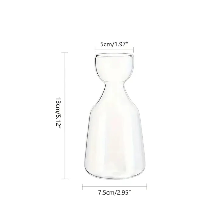 Vase de démarrage de graines d'avocat, Vase en verre Transparent pour plantes en croissance, Kit de 