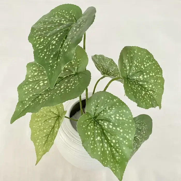 Plantes Vertes Artificielles en Plastique, Bégonie, Tortue, Dos, Bambou, Feuilles de Pomme, Décorati