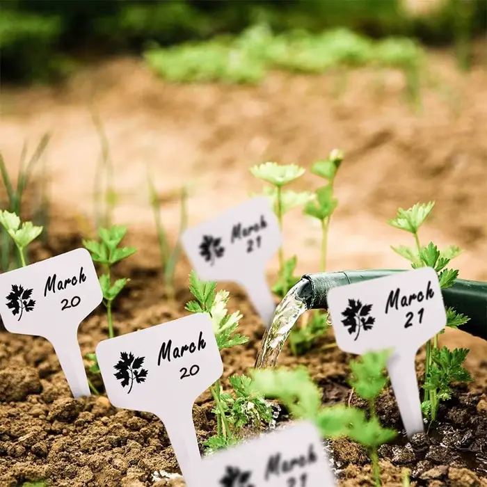 Marqueurs de plantes blancs en forme de T en Pvc, 100 pièces, étiquette de sol de jardinage en pot d