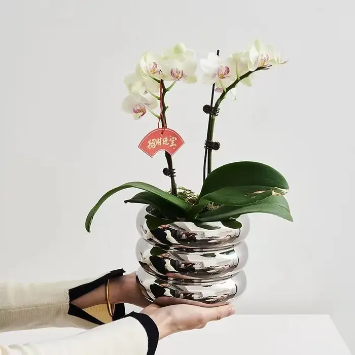 Pot de fleurs en céramique pour bureau