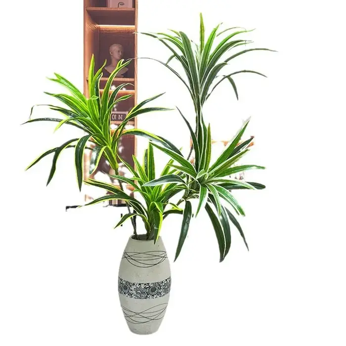 Branche de sang de Dragon artificielle à 2 fourchues