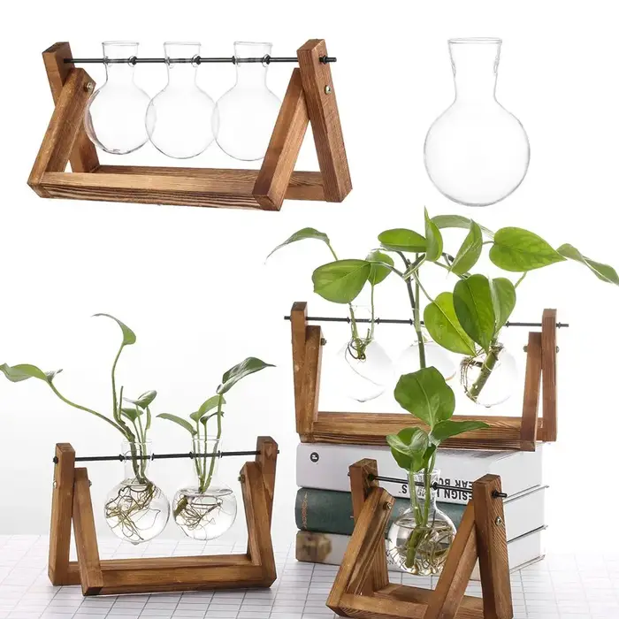 Vases de plantes hydroponiques
