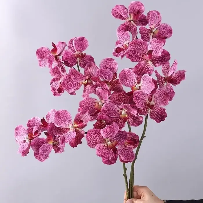 Orchidée Vanda Artificielle de 80 CM
