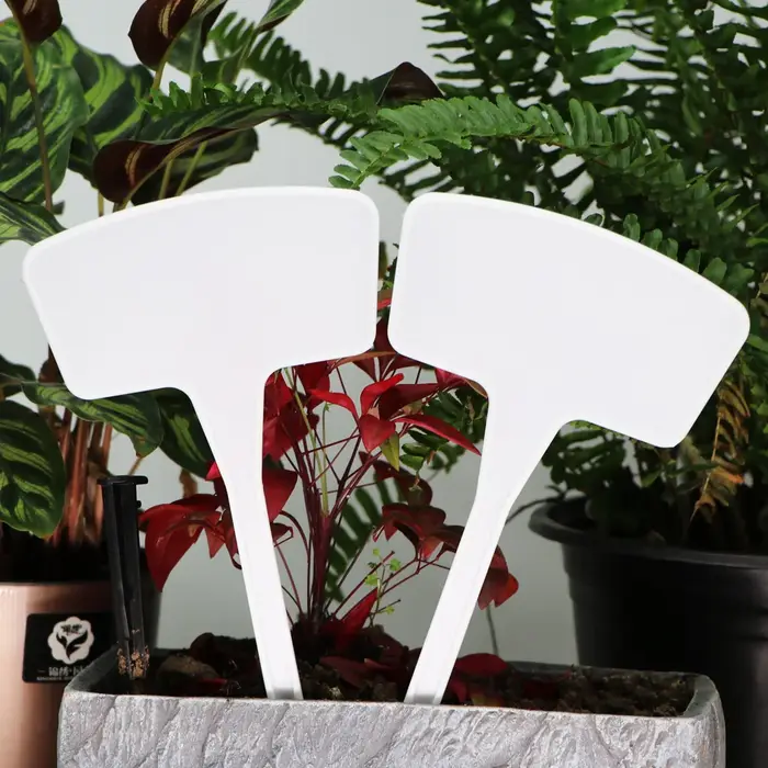 Étiquettes de plantes blanches de type T