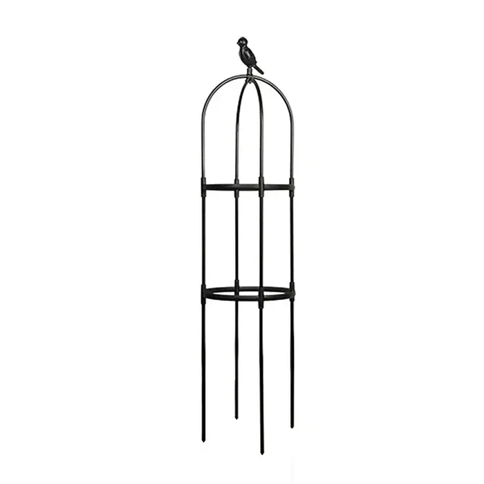 Support de jardin en treillis pour plantes grimpantes, cages pour plantes à fleurs, cadre de support