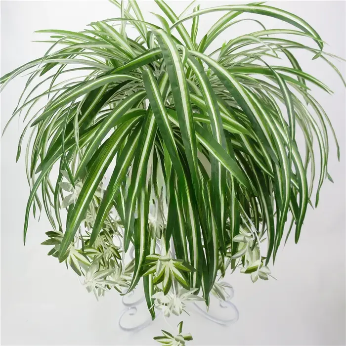 Plantes artificielles murales suspendues Chlorophytum