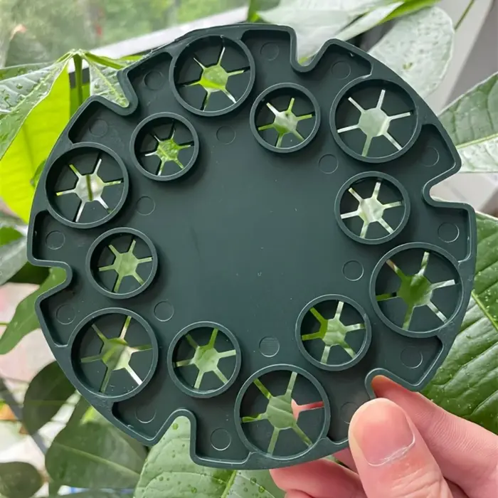 5 disques de fixation pour plantes grimpantes de jardin