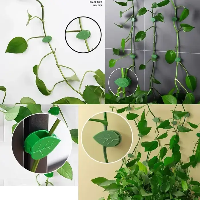 Clips de fixation murale pour plantes grimpantes, autocollant en acrylique, crochet auto-adhésif, support de Traction pour plantes de vigne, décoration intérieure et extérieure
