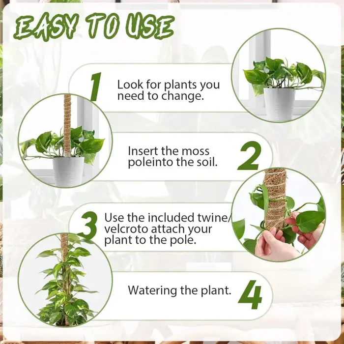 Poteau en mousse flexible pour plantes, en fibre de coco, support pour Monstera, fait main, accessoires de jardinage DIY pour plantes grimpantes