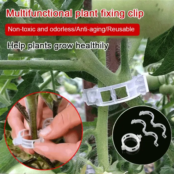 Attaches de fixation pour plantes suspendues
