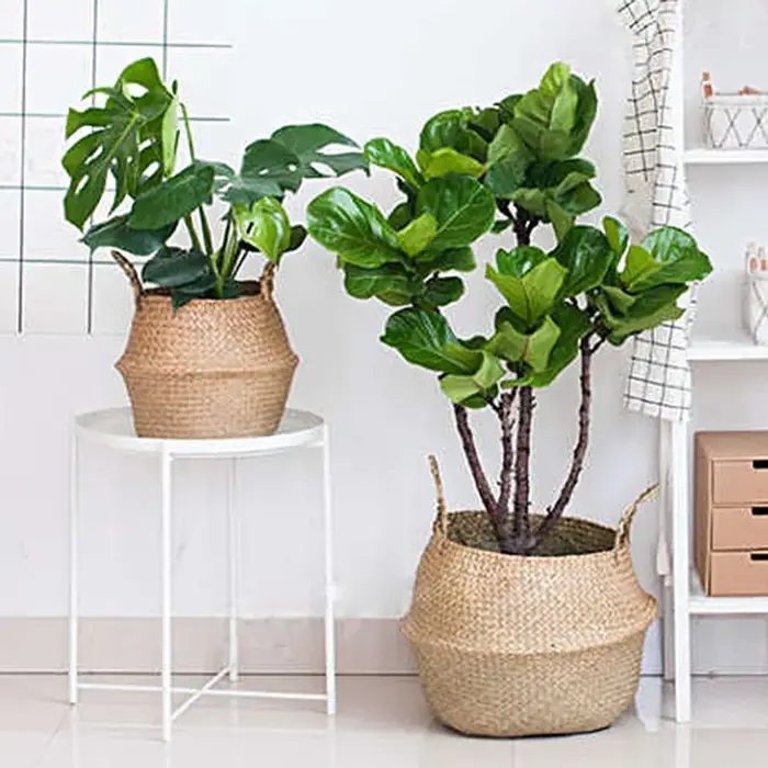 Tissé sale stockage jonc de mer osier rotin suspendu Pot de fleur plante organisateur jardin Gadgets support Ganzш Kala Для Цтатов