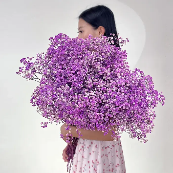 Fleurs pouvez-vous psophila Naturelles vaccées pour Bébé, Bouquet Frais, Patients de Mariage, Décora