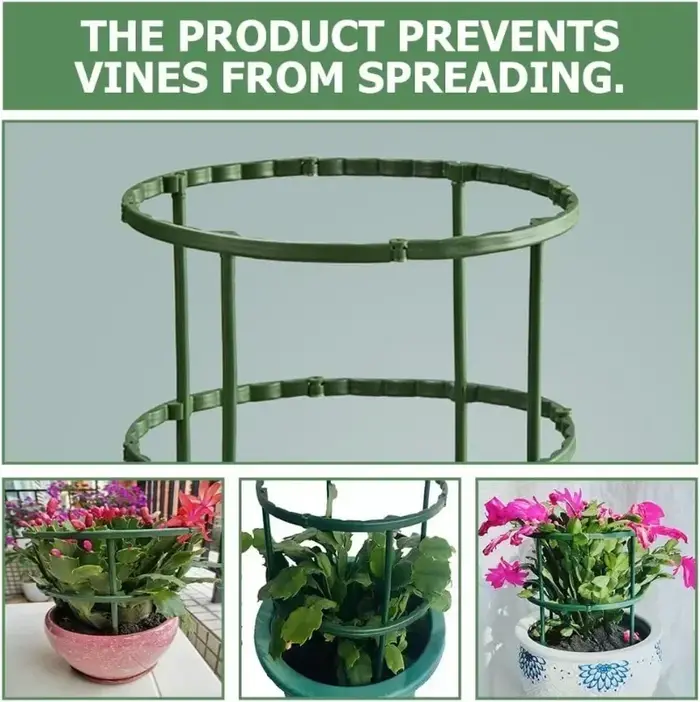 Support d'escalade pour plantes à fleurs