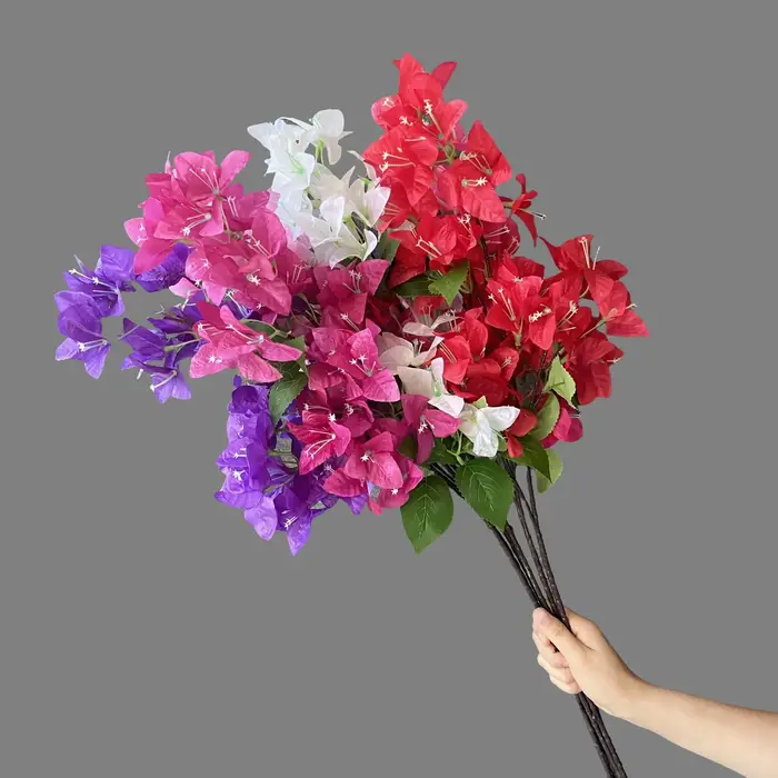 Simulation de Bouquet de bougainville