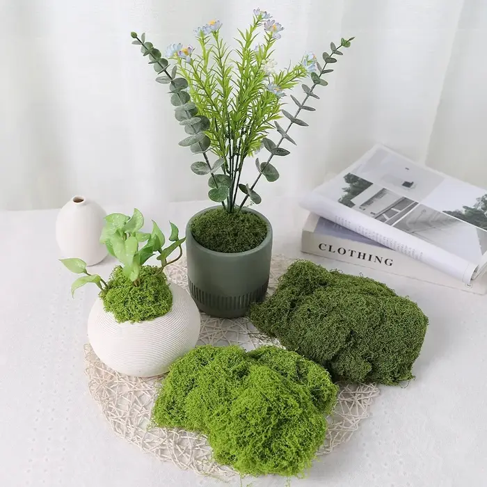 Plantes vertes artificielles