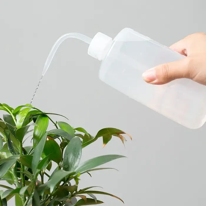 Bouilloire versante à bec d'eau 150/250/500mL, outil pour plantes succulentes, arrosoir de fleurs, bouteilles à presser avec outils de jardinage