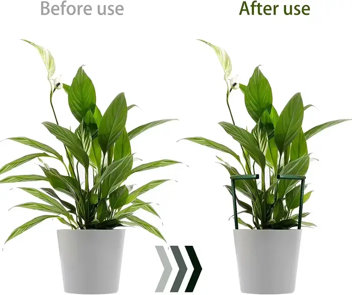 Support de Pile pour plantes, cadre demi-cercle, Support de tige fixe, Arrangement de jardinage, Sup