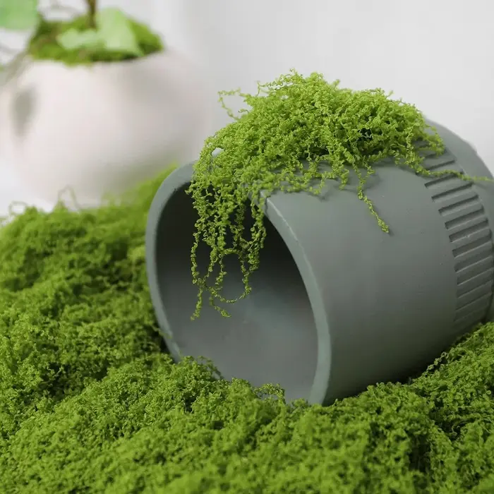 Plantes vertes artificielles