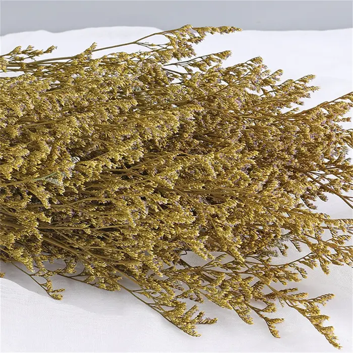 Limonium naturel séché pour les amoureux
