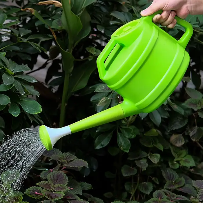 Arrosoir pour plantes d'intérieur et d'extérieur