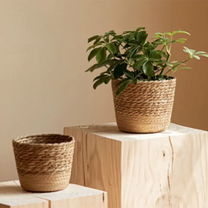 Panier de rangement en rotin tressé pour plantes