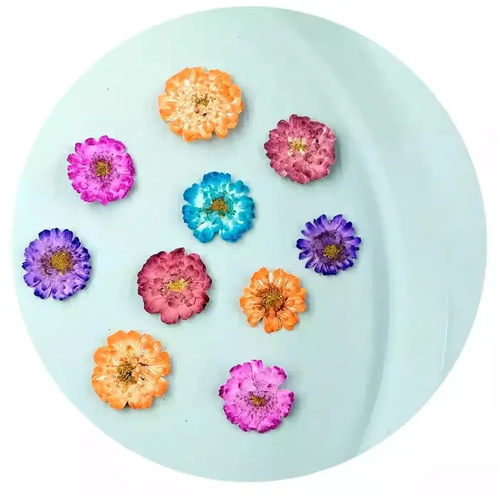 12 pièces/1-2 cm, mini fleurs séchées de marguerite et de camomille pressées