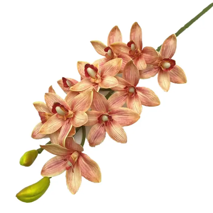 Un Cymbidium artificiel Hookerianum 10 têtes simulé Vanda