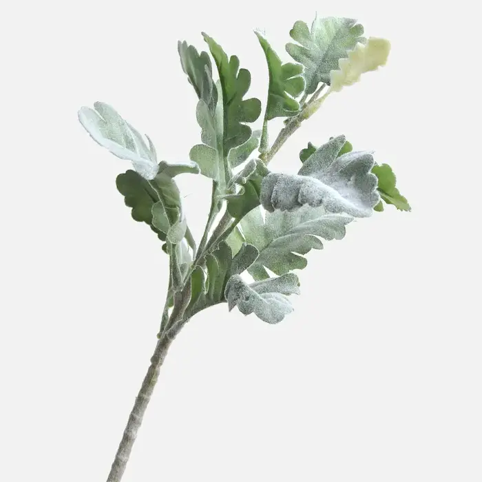 Plante artificielle de Senecio Cineraria